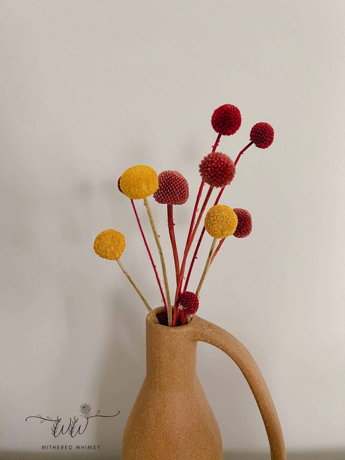 Billy Balls (Craspedia) - Yellow - Withered Whimsy Craspedia