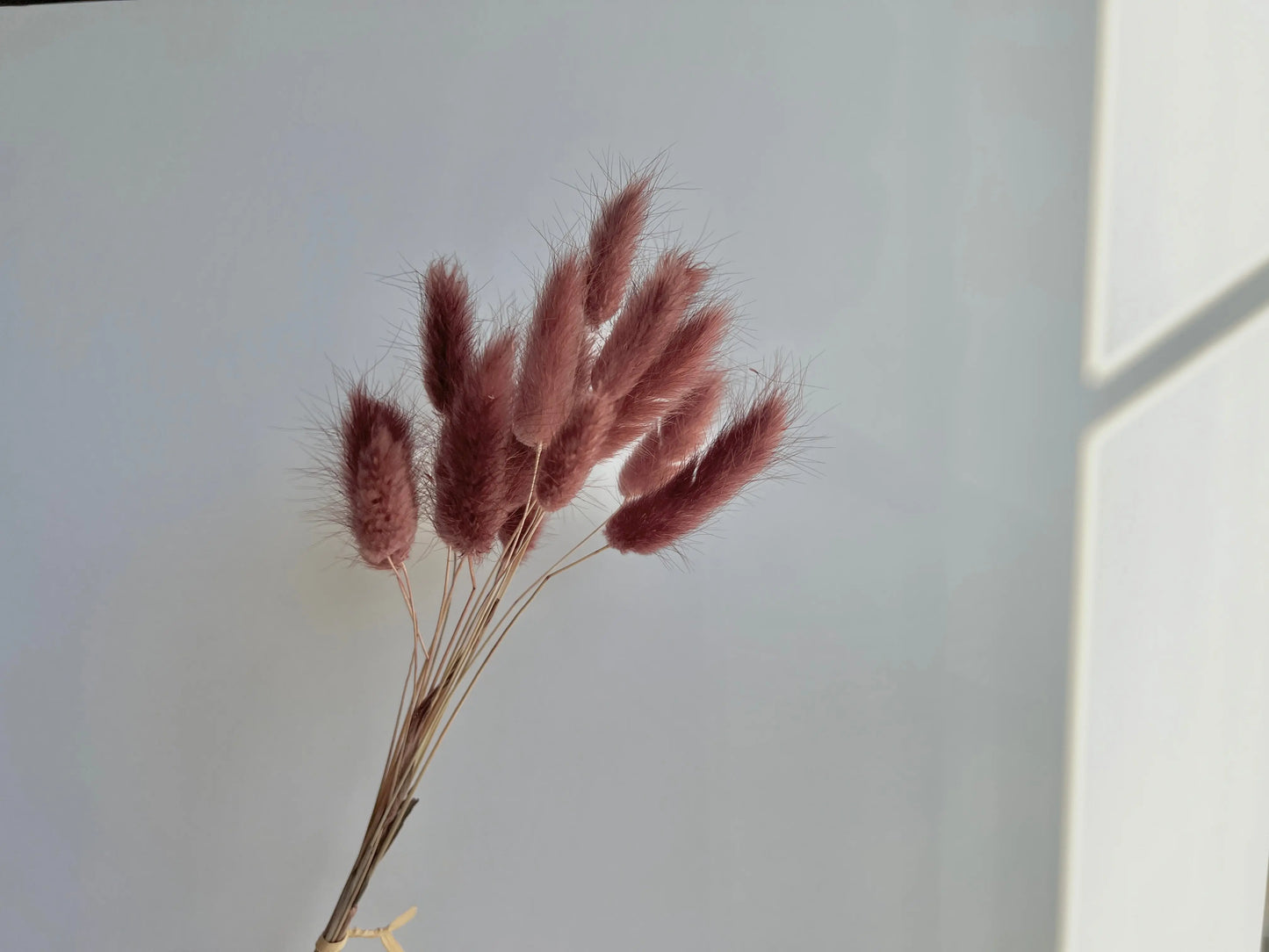 Bunny Tails - Deep Mauve - Withered Whimsy Bunny Tails
