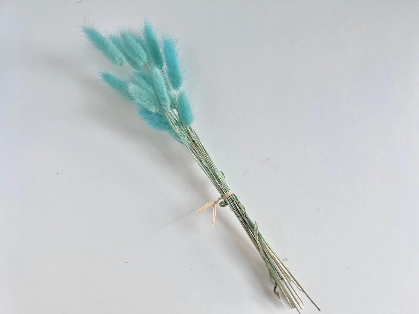 Bunny Tails - Mint - Withered Whimsy Bunny Tails