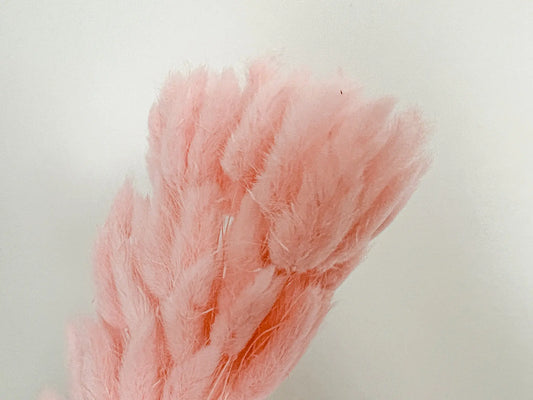 Bunny Tails - Baby Pink - Withered Whimsy Bunny Tails