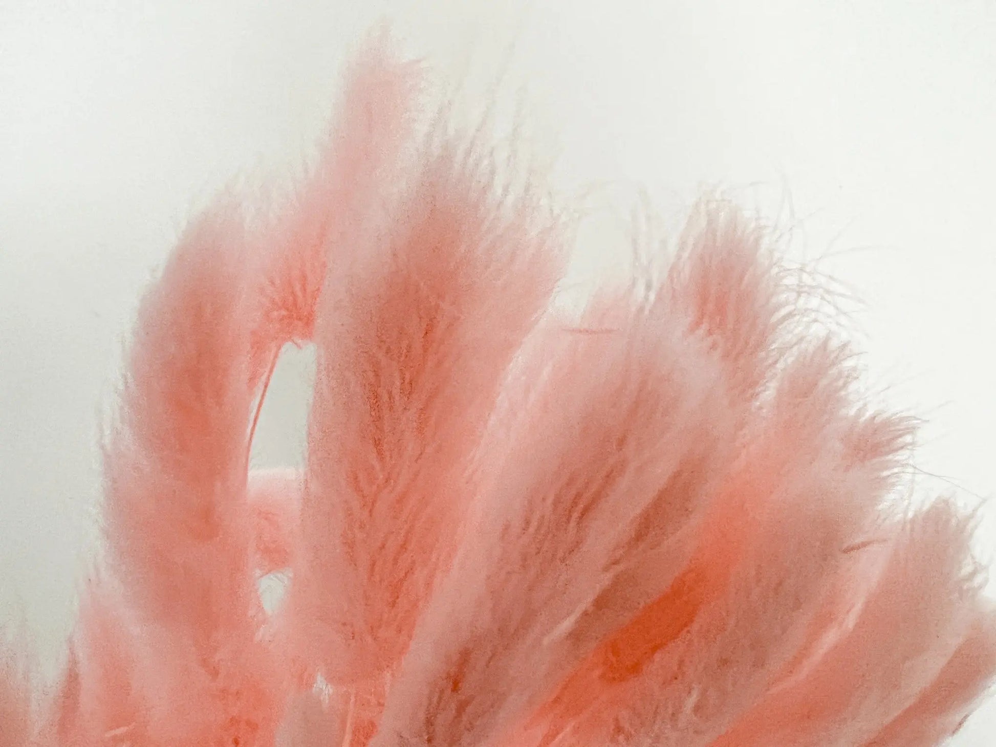 Bunny Tails - Baby Pink - Withered Whimsy Bunny Tails