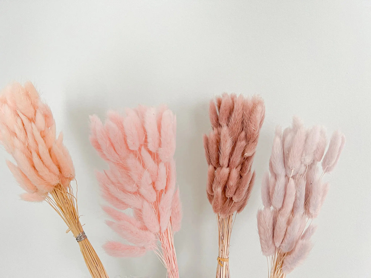 Bunny Tails - Baby Pink - Withered Whimsy Bunny Tails