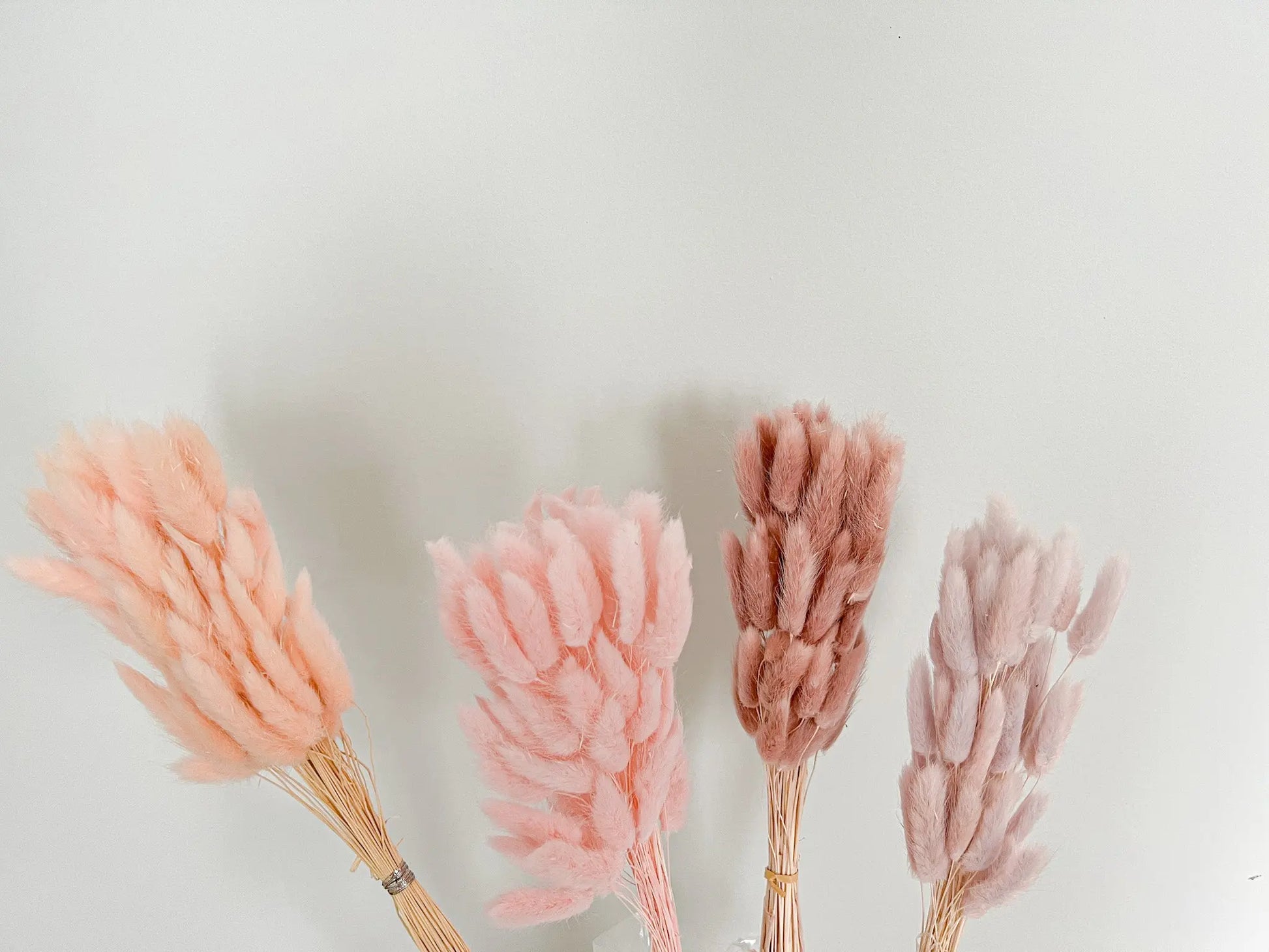 Bunny Tails - Blush Pink - Withered Whimsy Bunny Tails