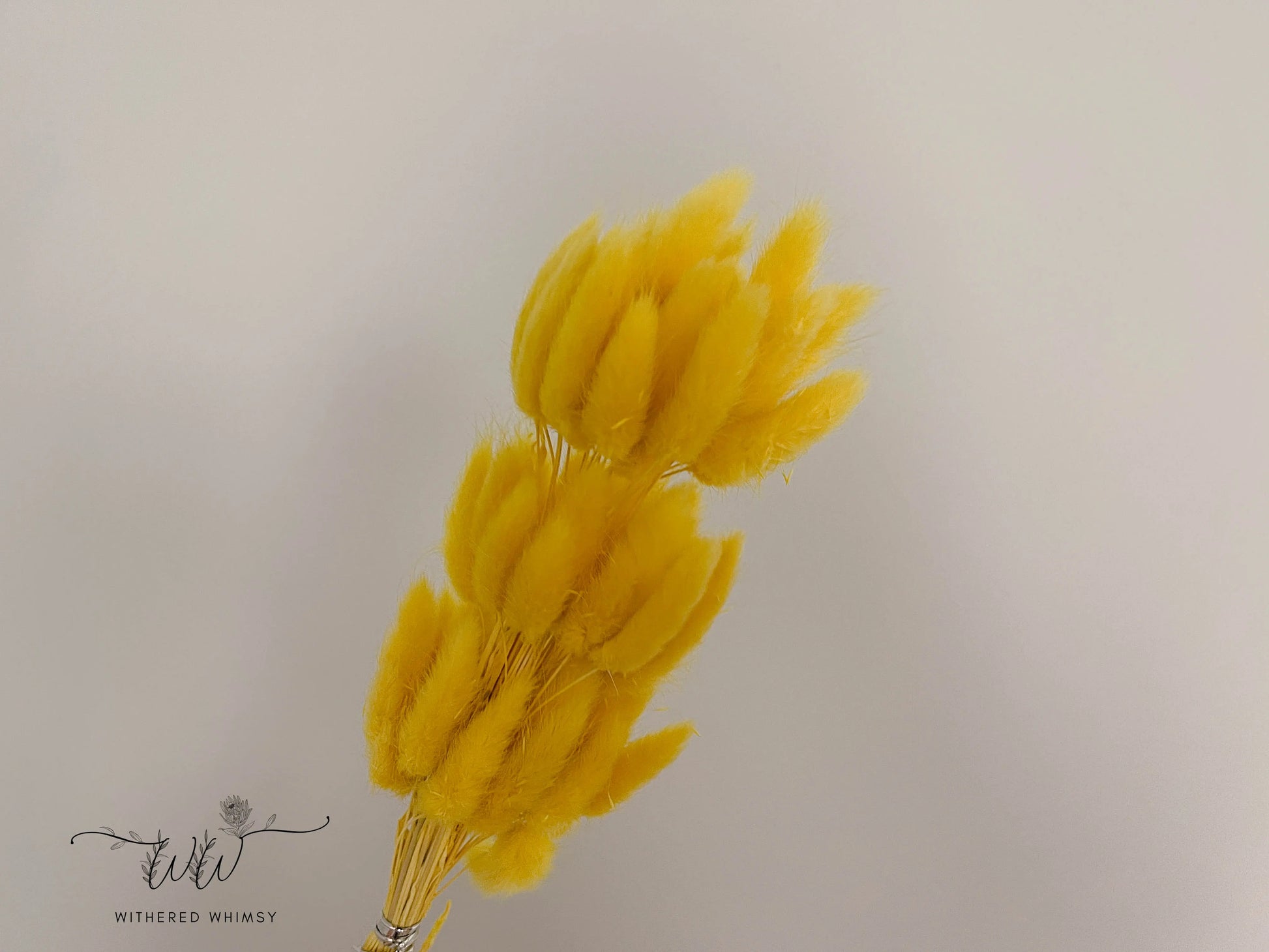 Bunny Tails - Bright Yellow - Withered Whimsy Bunny Tails