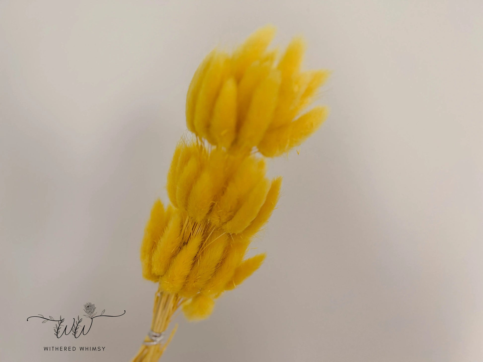 Bunny Tails - Bright Yellow - Withered Whimsy Bunny Tails