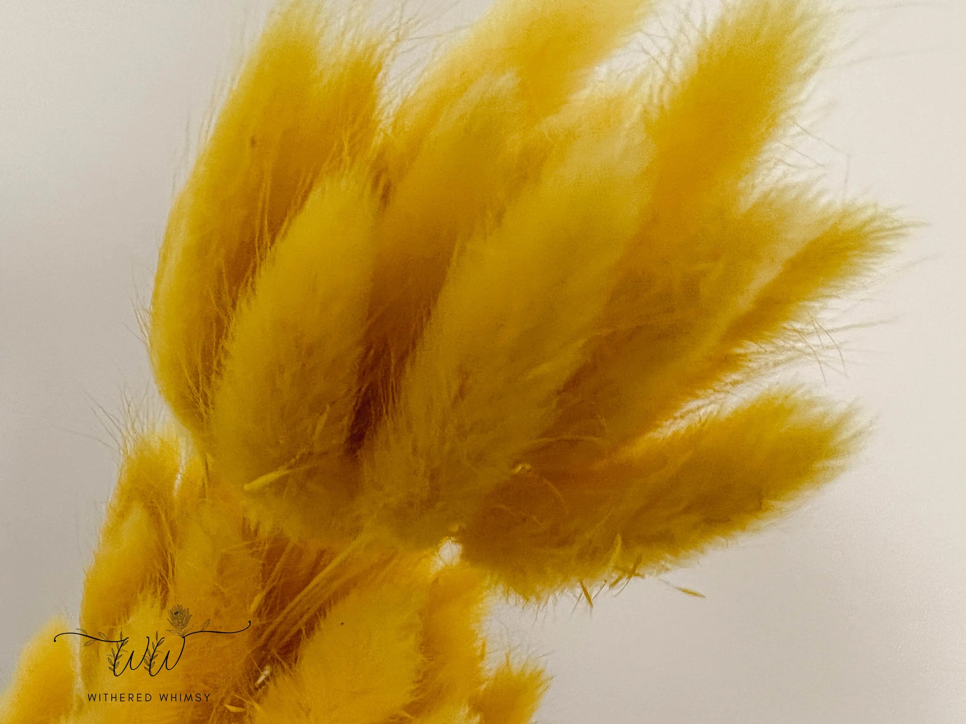 Bunny Tails - Bright Yellow - Withered Whimsy Bunny Tails