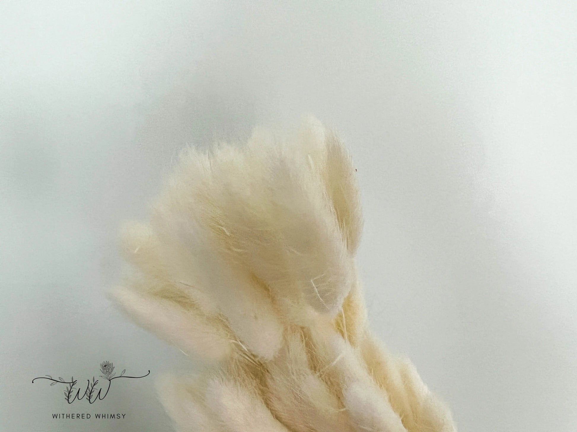 Bunny Tails - Cream - Withered Whimsy Bunny Tails