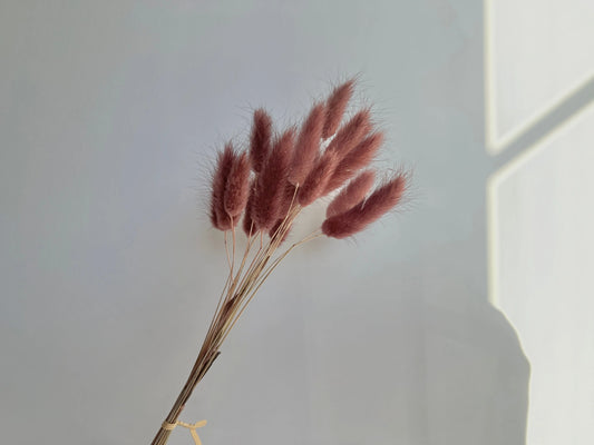 Bunny Tails - Deep Mauve - Withered Whimsy Bunny Tails