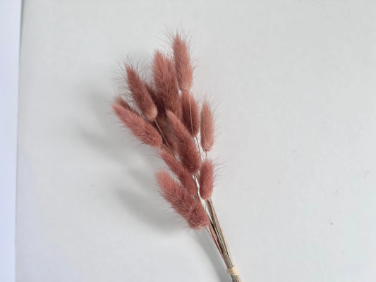 Bunny Tails - Dusty Pink - Withered Whimsy Bunny Tails