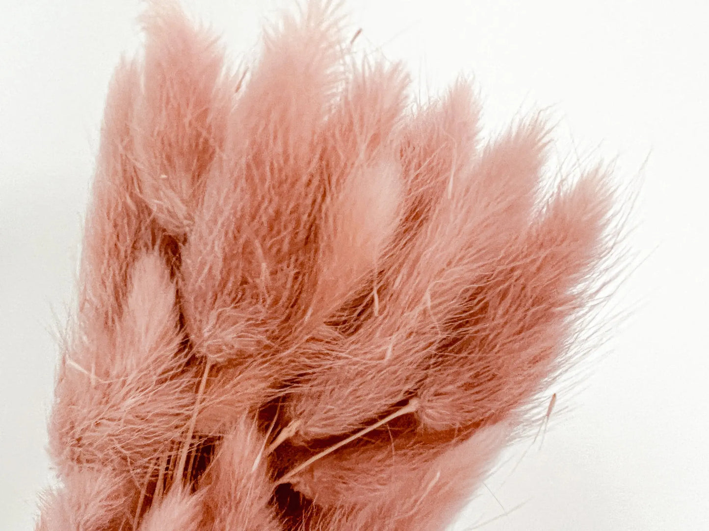 Bunny Tails - Dusty Pink - Withered Whimsy Bunny Tails