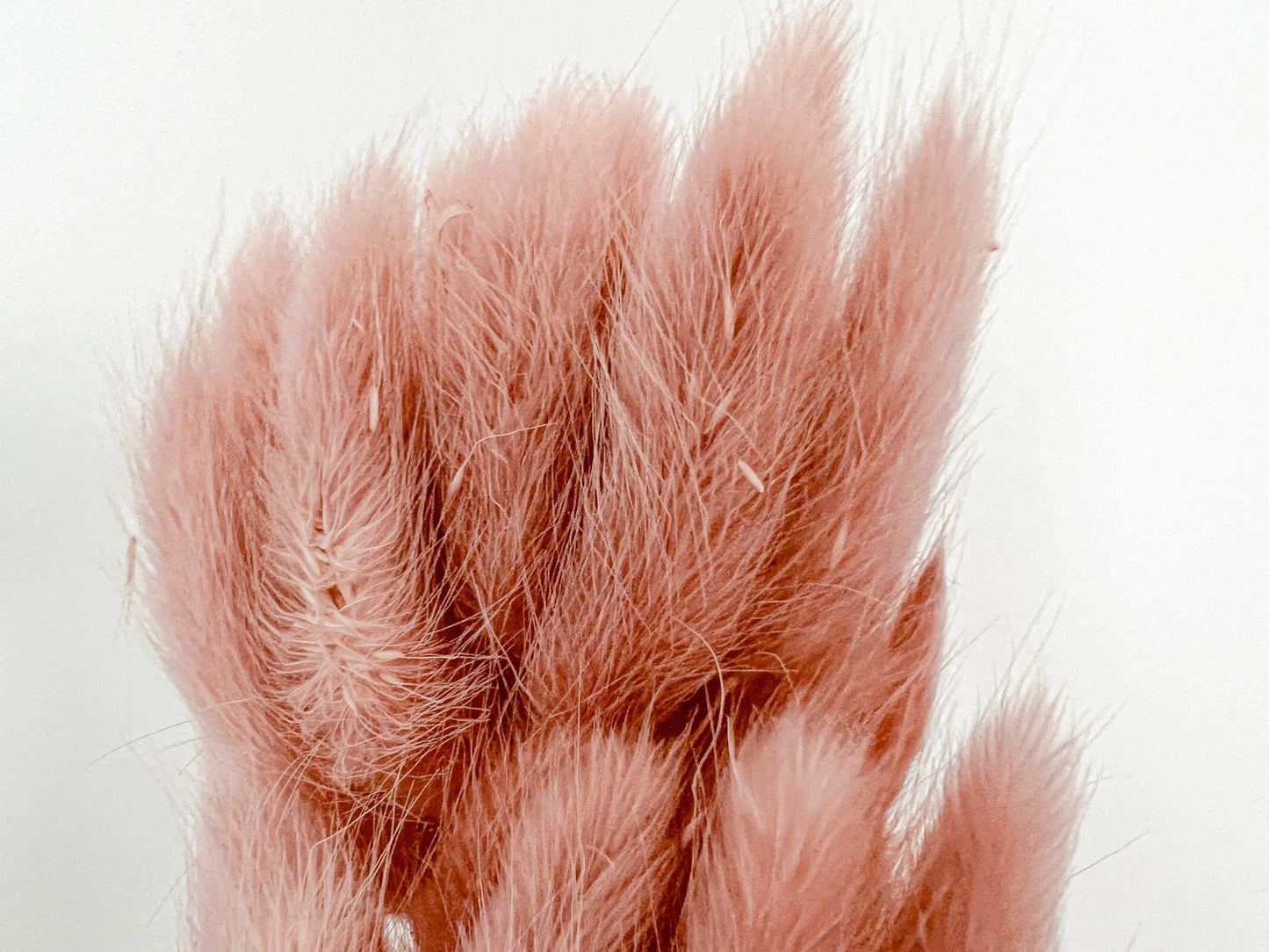 Bunny Tails - Dusty Pink - Withered Whimsy Bunny Tails