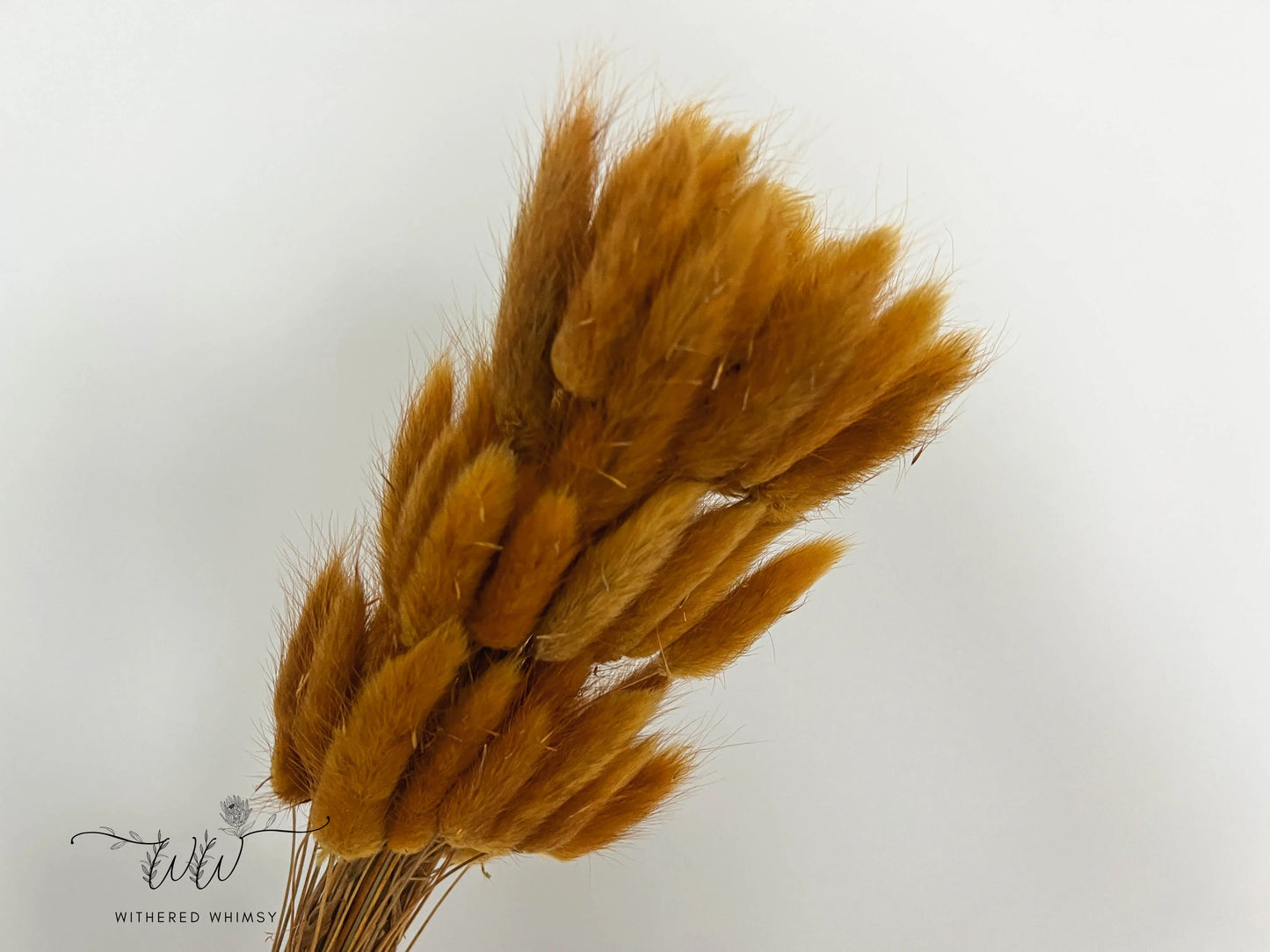 Bunny Tails - Golden Yellow - Withered Whimsy Bunny Tails