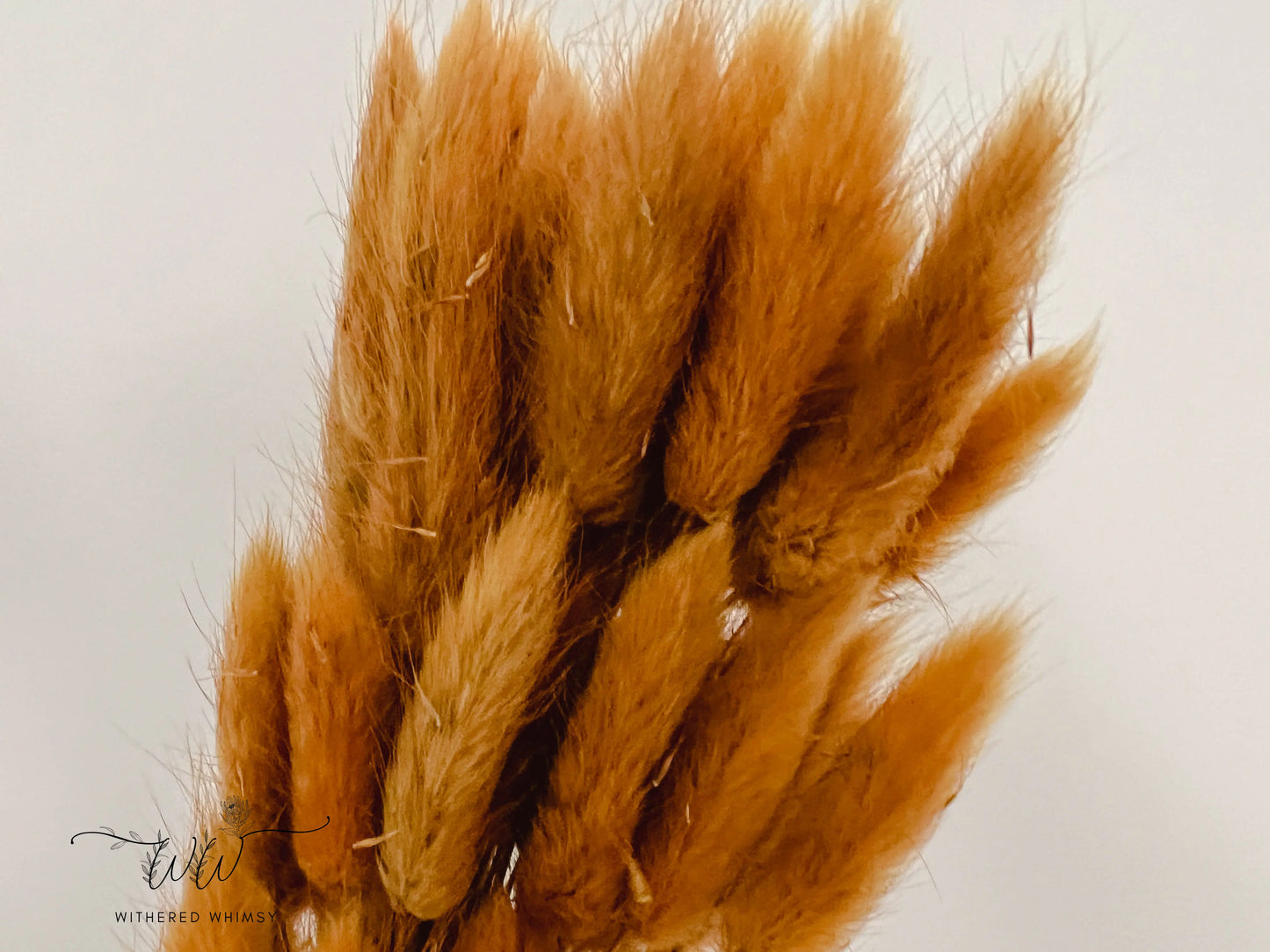 Bunny Tails - Golden Yellow - Withered Whimsy Bunny Tails