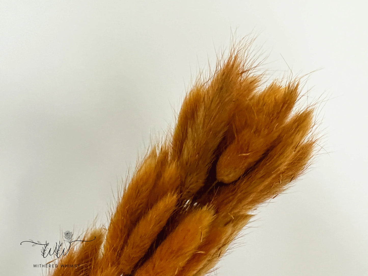 Bunny Tails - Golden Yellow - Withered Whimsy Bunny Tails