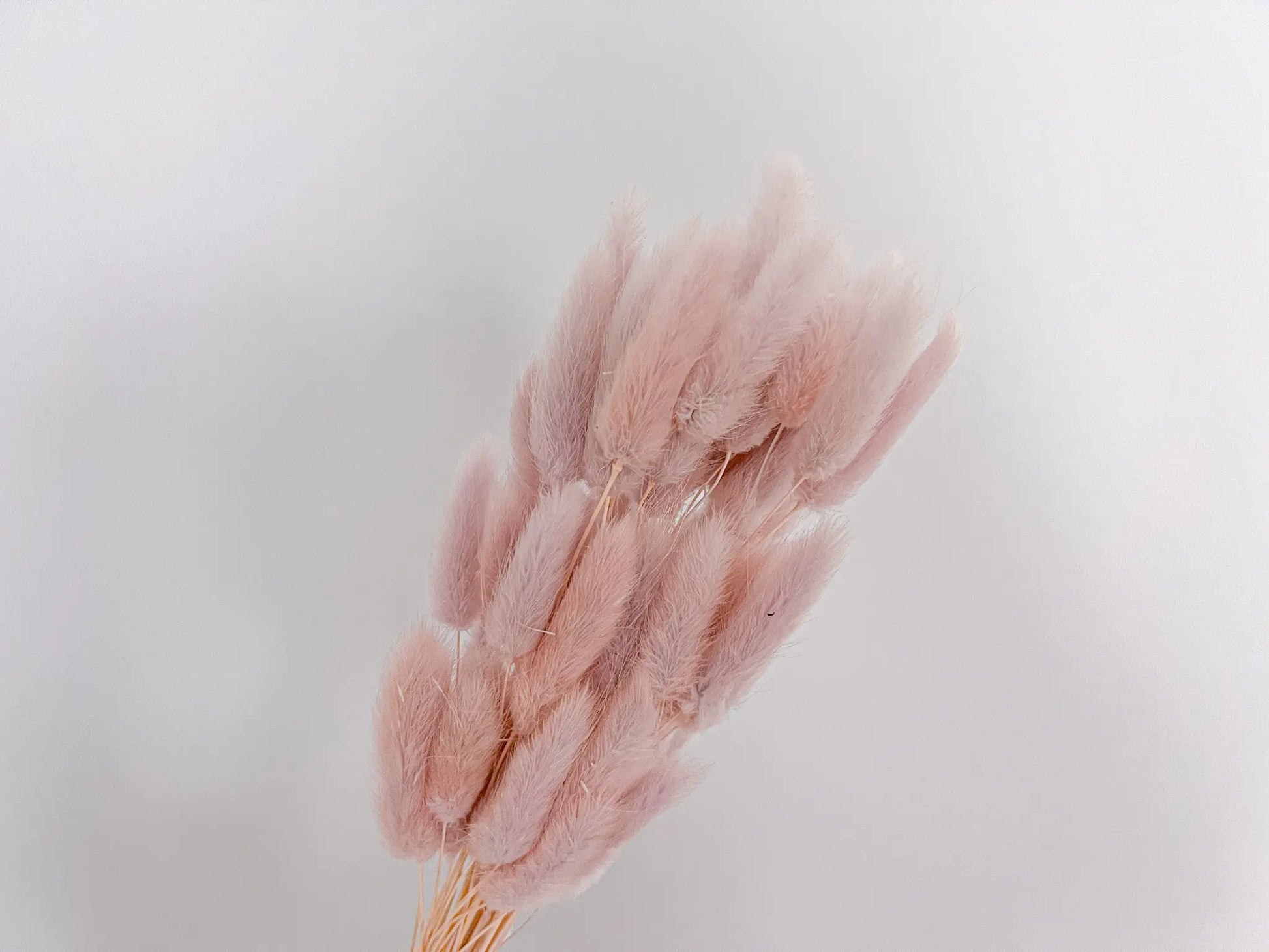 Bunny Tails - Light Lilac - Withered Whimsy Bunny Tails