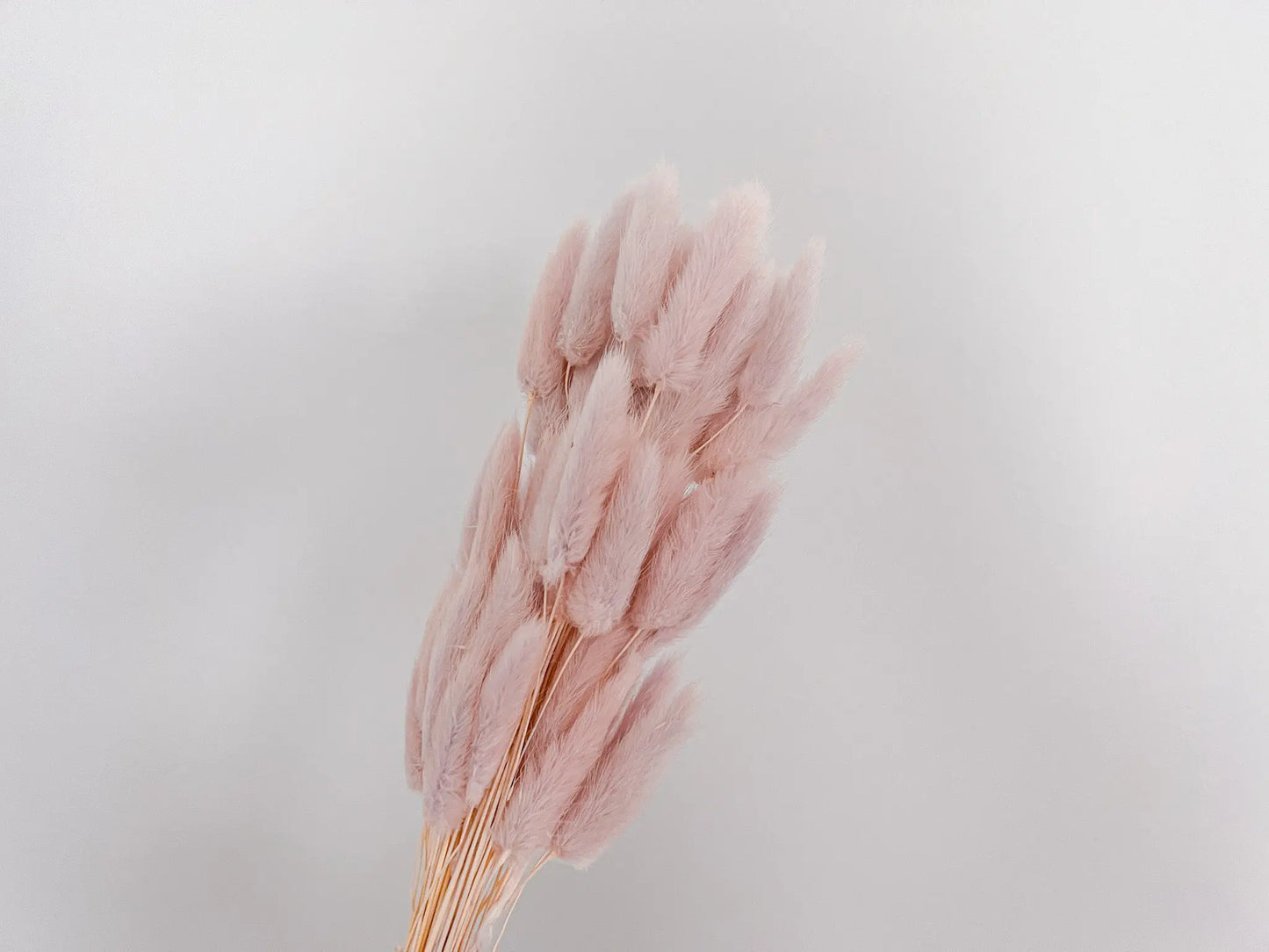 Bunny Tails - Light Lilac - Withered Whimsy Bunny Tails