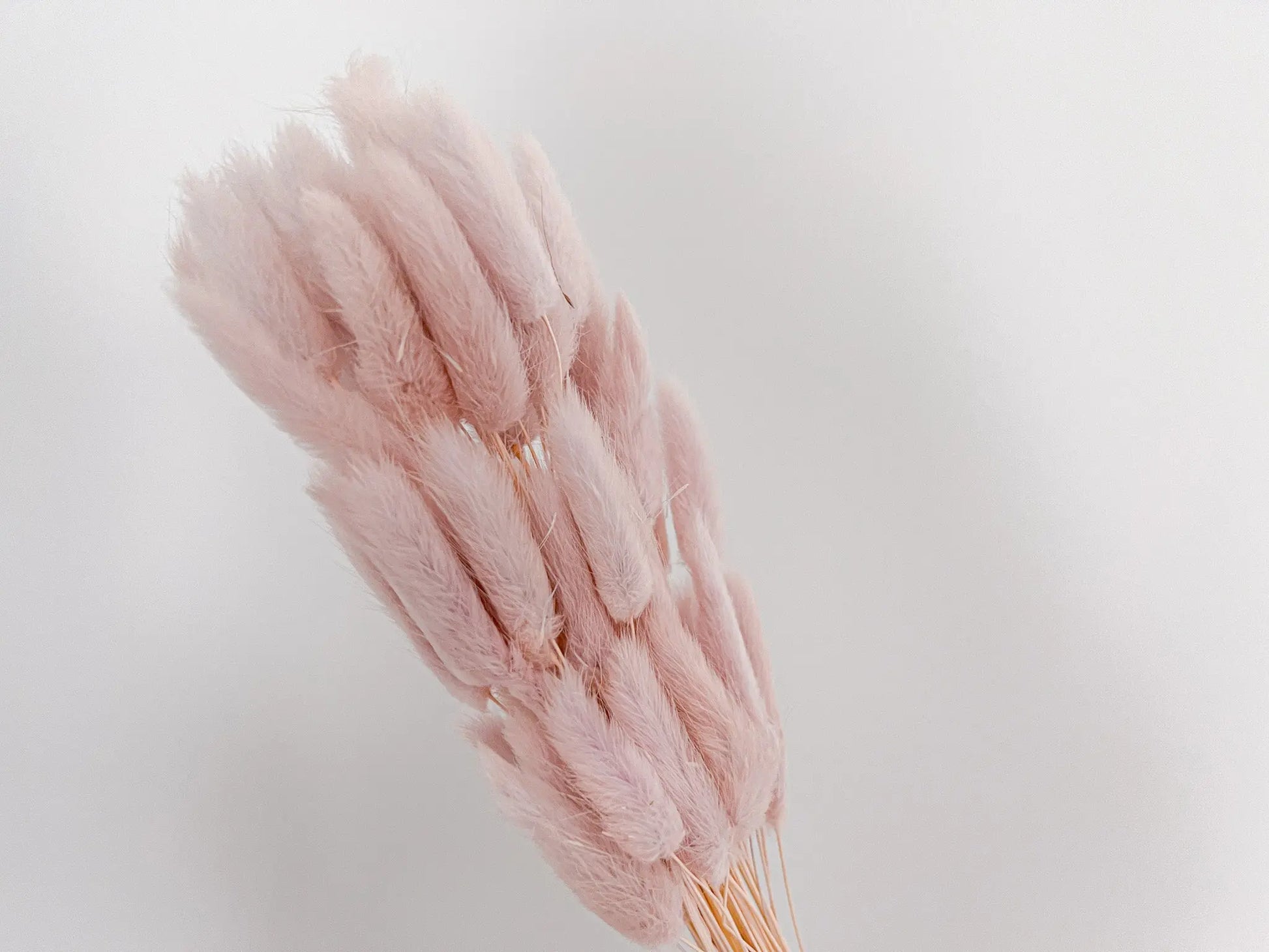 Bunny Tails - Light Lilac - Withered Whimsy Bunny Tails