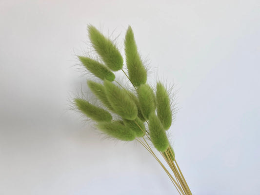 Bunny Tails - Lime - Withered Whimsy Bunny Tails