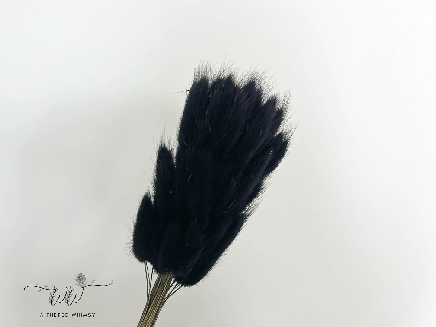 Bunny Tails - Midnight Black - Withered Whimsy Bunny Tails