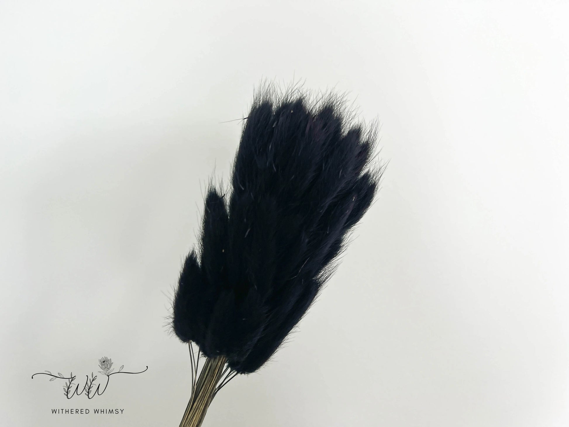 Bunny Tails - Midnight Black - Withered Whimsy Bunny Tails