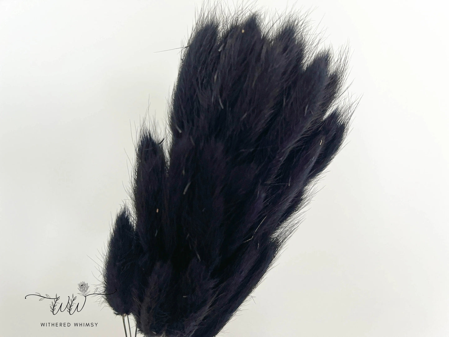 Bunny Tails - Midnight Black - Withered Whimsy Bunny Tails