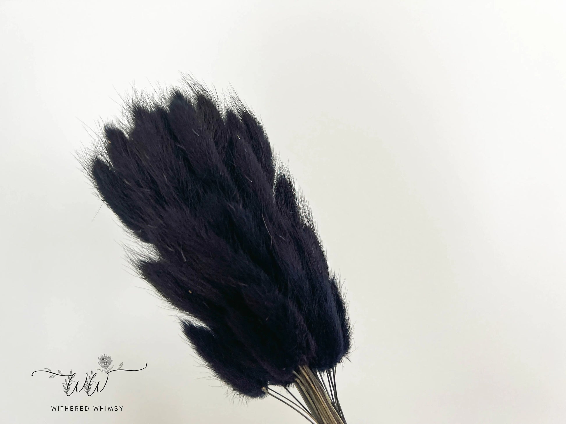 Bunny Tails - Midnight Black - Withered Whimsy Bunny Tails