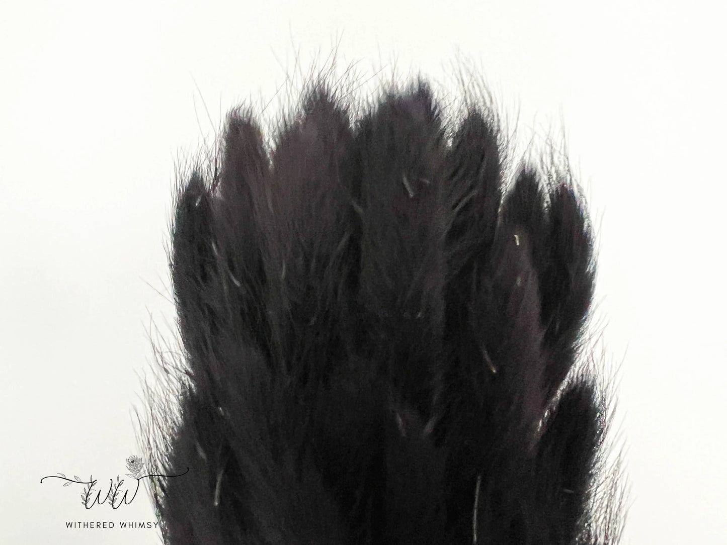 Bunny Tails - Midnight Black - Withered Whimsy Bunny Tails