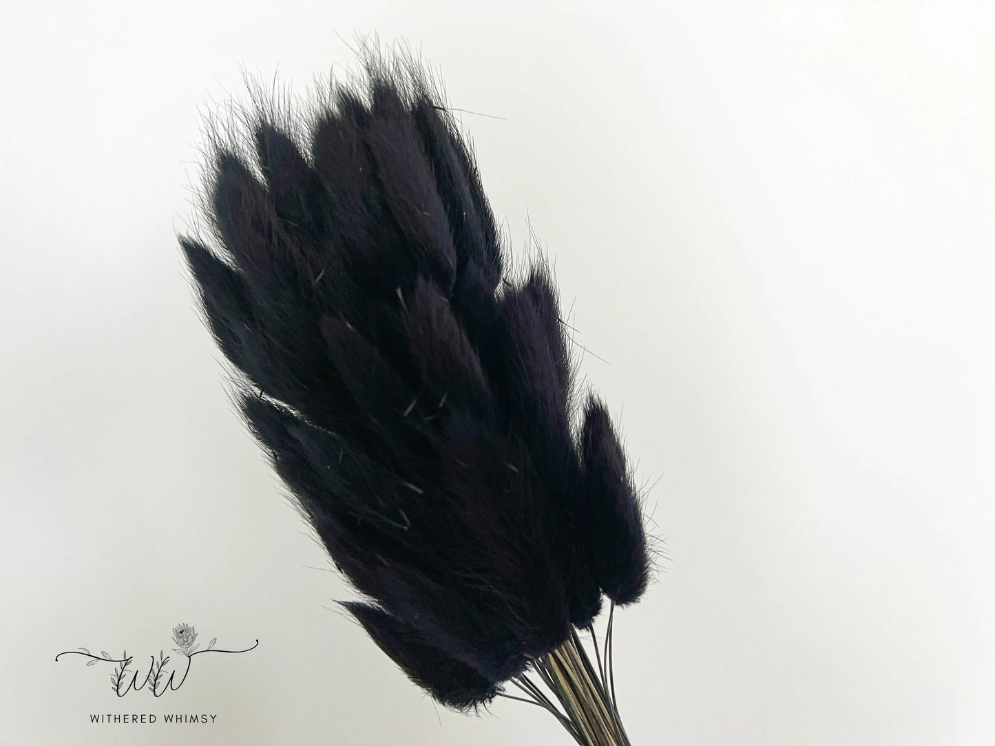 Bunny Tails - Midnight Black - Withered Whimsy Bunny Tails