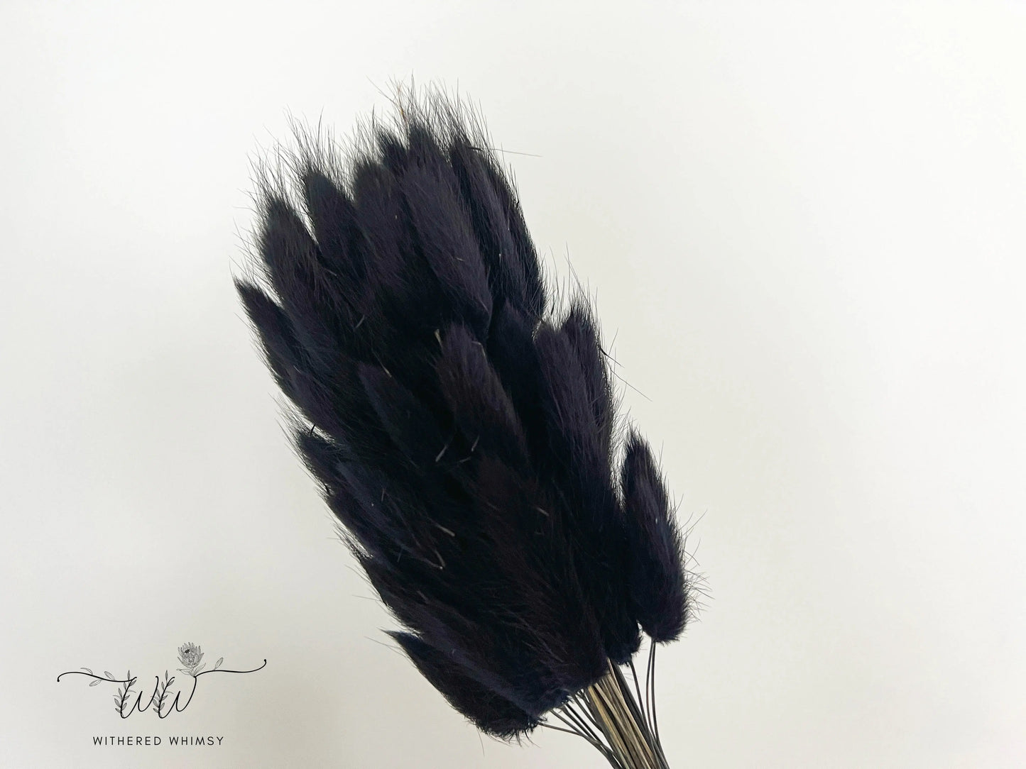 Bunny Tails - Midnight Black - Withered Whimsy Bunny Tails