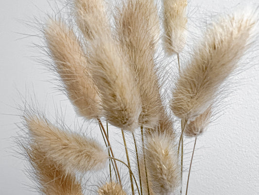 Bunny Tails - Natural - Withered Whimsy Bunny Tails