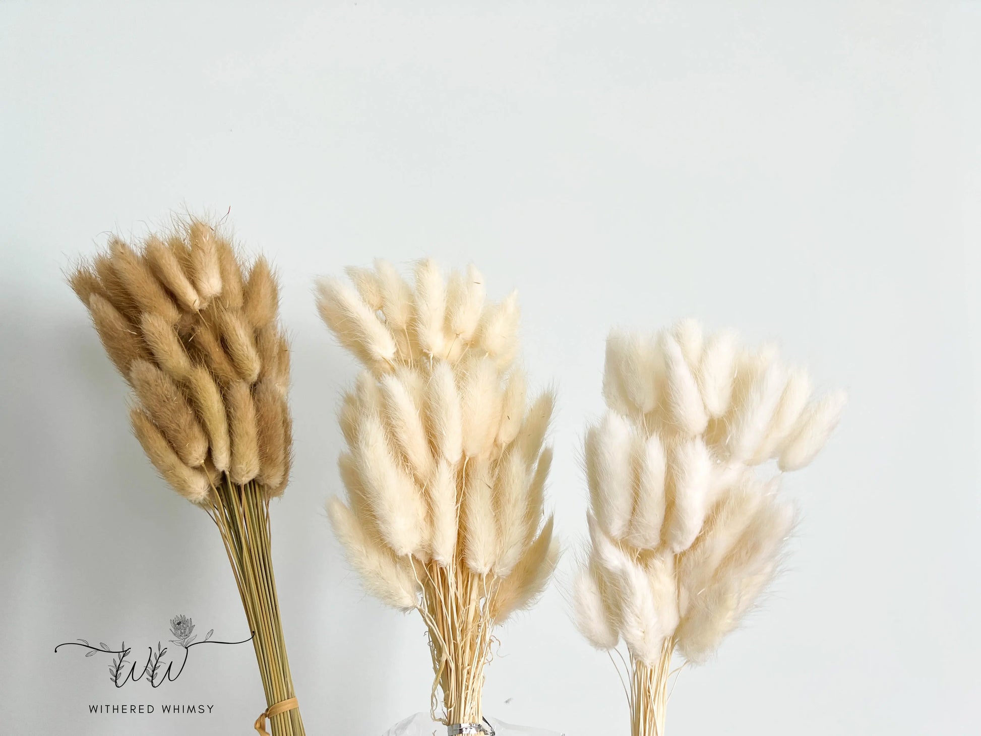 Bunny Tails - Neutrals - Withered Whimsy Bunny Tails