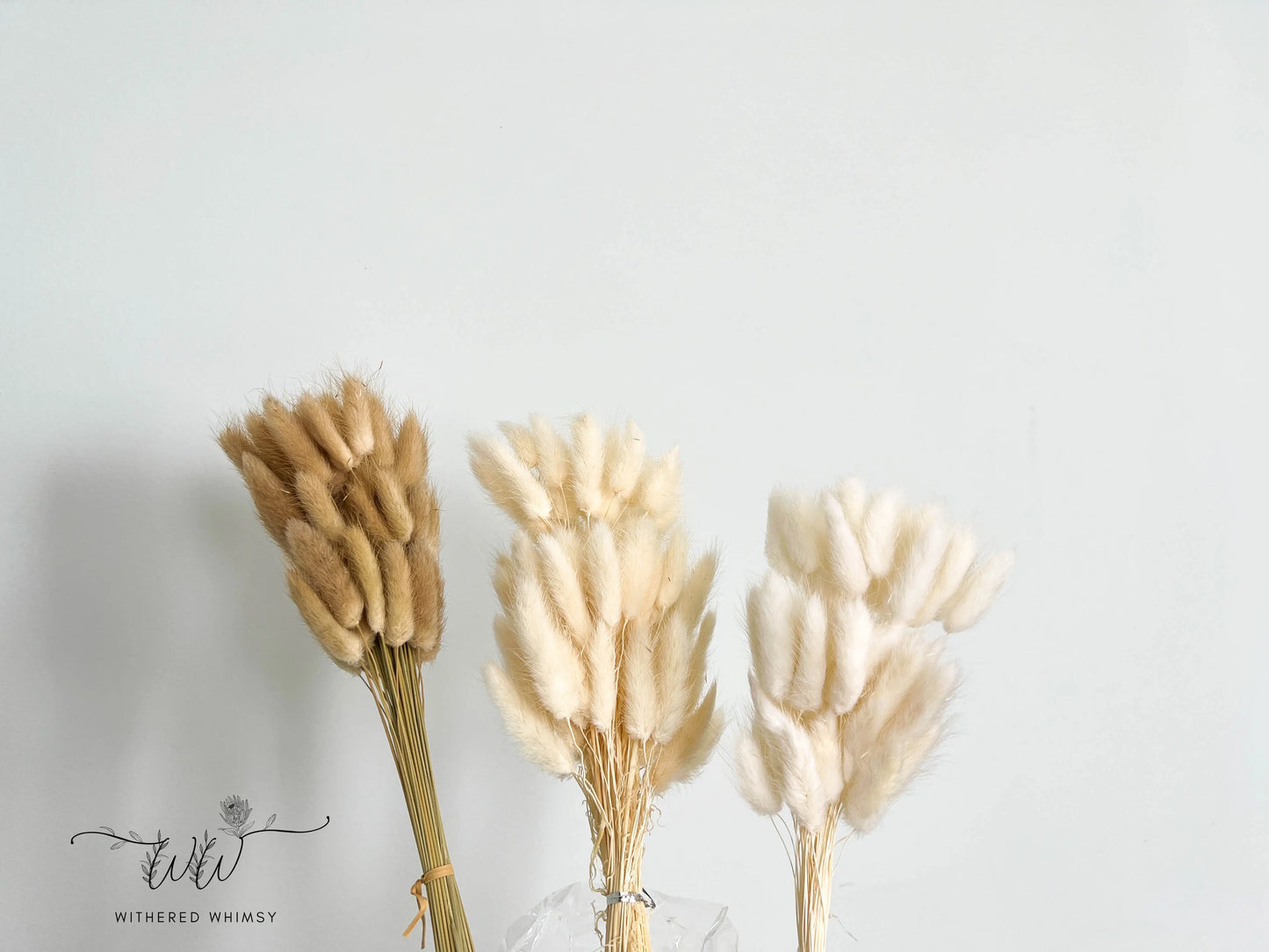 Bunny Tails - Neutrals - Withered Whimsy Bunny Tails