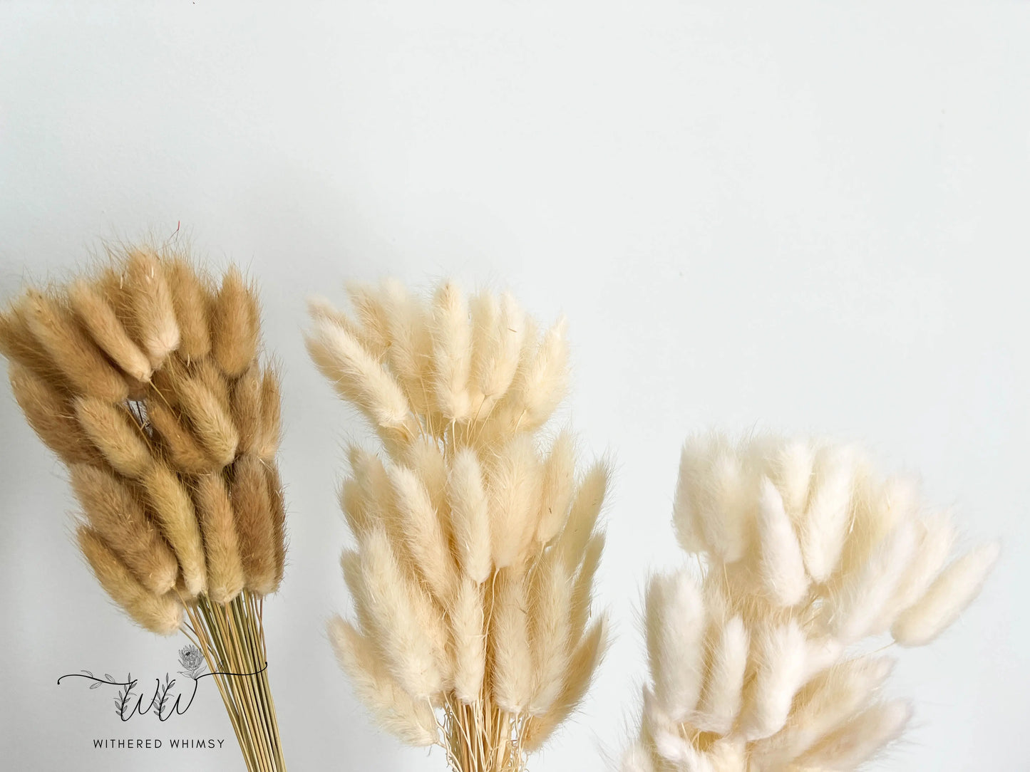 Bunny Tails - Neutrals - Withered Whimsy Bunny Tails