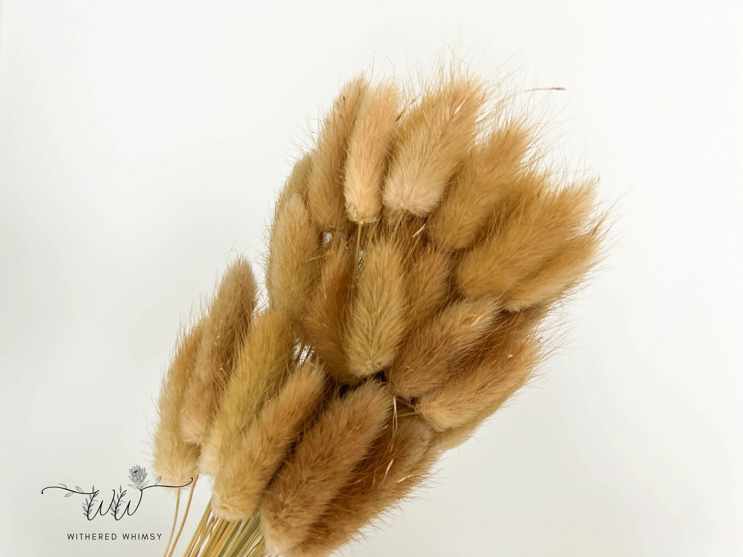 Bunny Tails - Neutrals - Withered Whimsy Bunny Tails