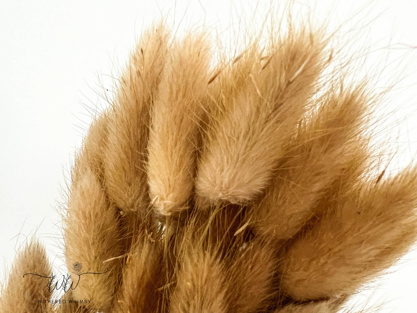 Bunny Tails - Neutrals - Withered Whimsy Bunny Tails