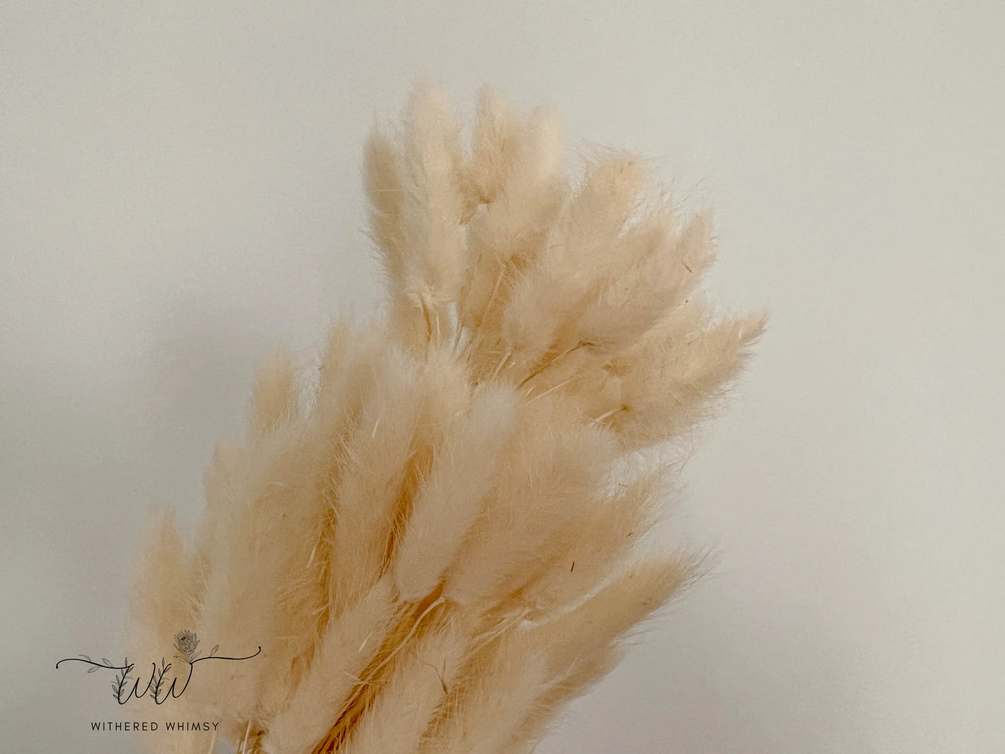 Bunny Tails - Neutrals - Withered Whimsy Bunny Tails