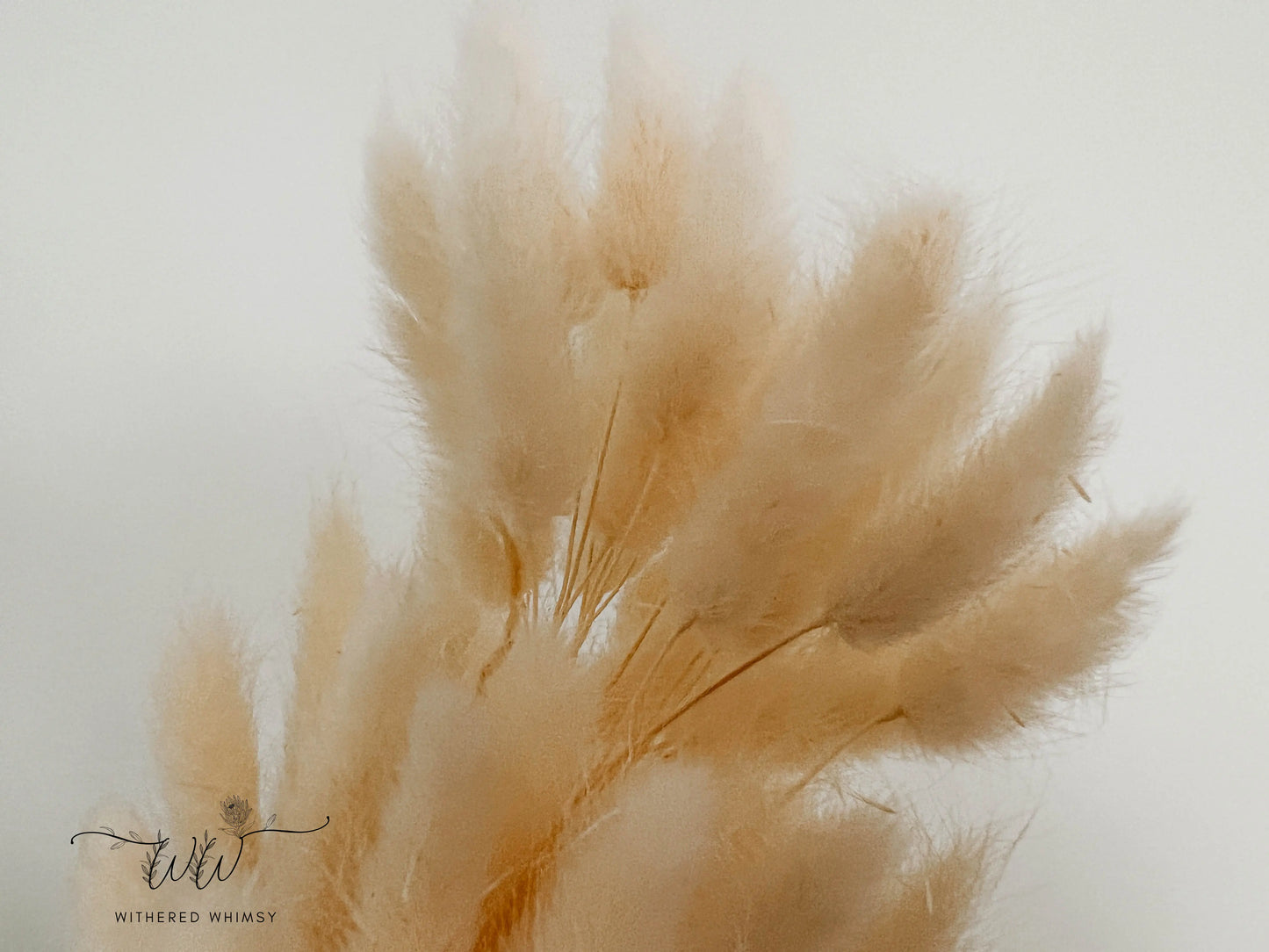 Bunny Tails - Neutrals - Withered Whimsy Bunny Tails