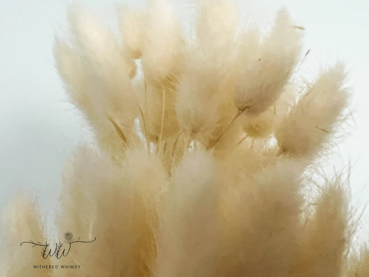 Bunny Tails - Neutrals - Withered Whimsy Bunny Tails