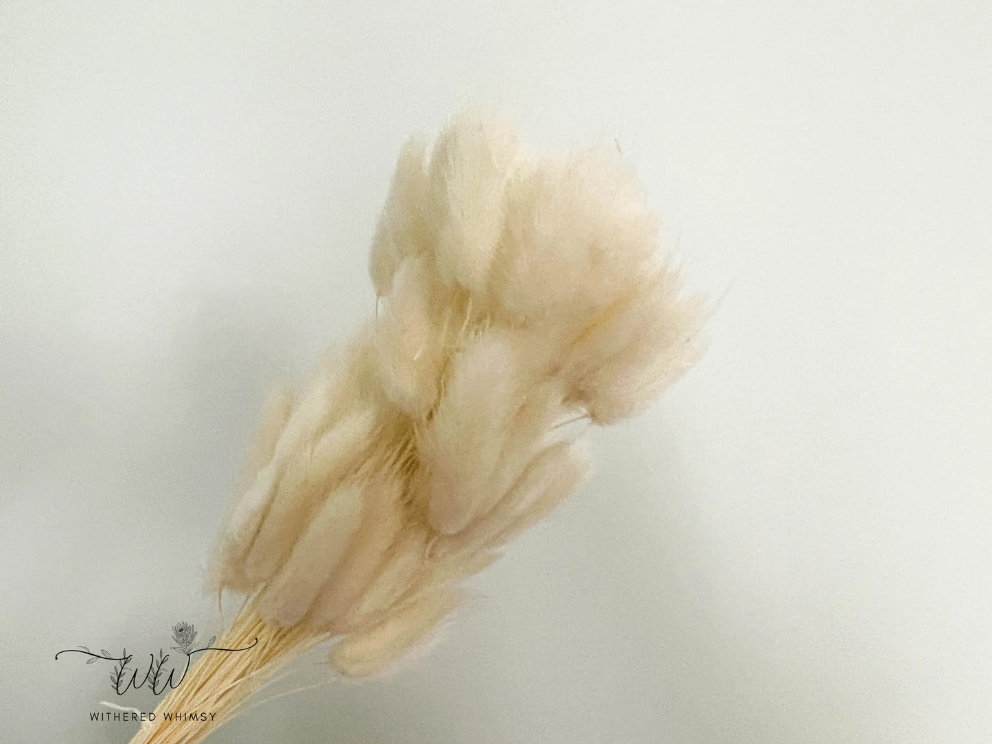 Bunny Tails - Neutrals - Withered Whimsy Bunny Tails