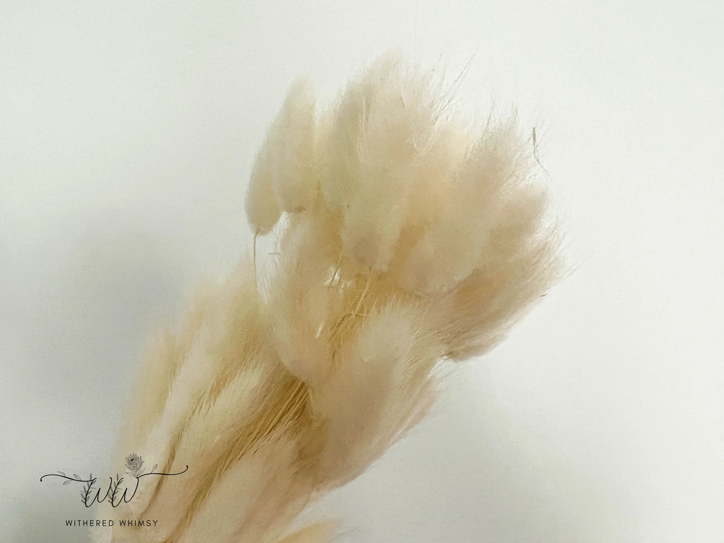 Bunny Tails - Neutrals - Withered Whimsy Bunny Tails