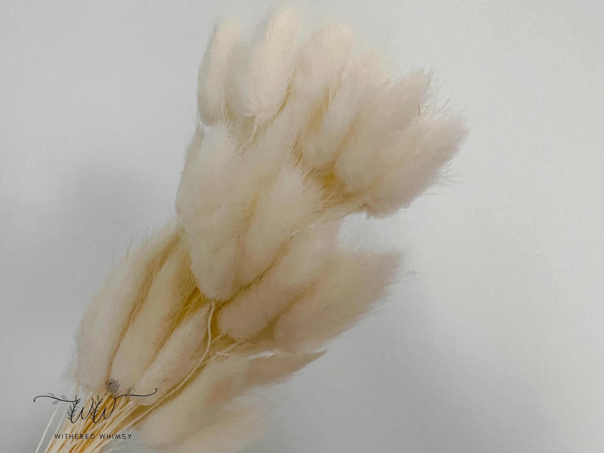 Bunny Tails - Neutrals - Withered Whimsy Bunny Tails