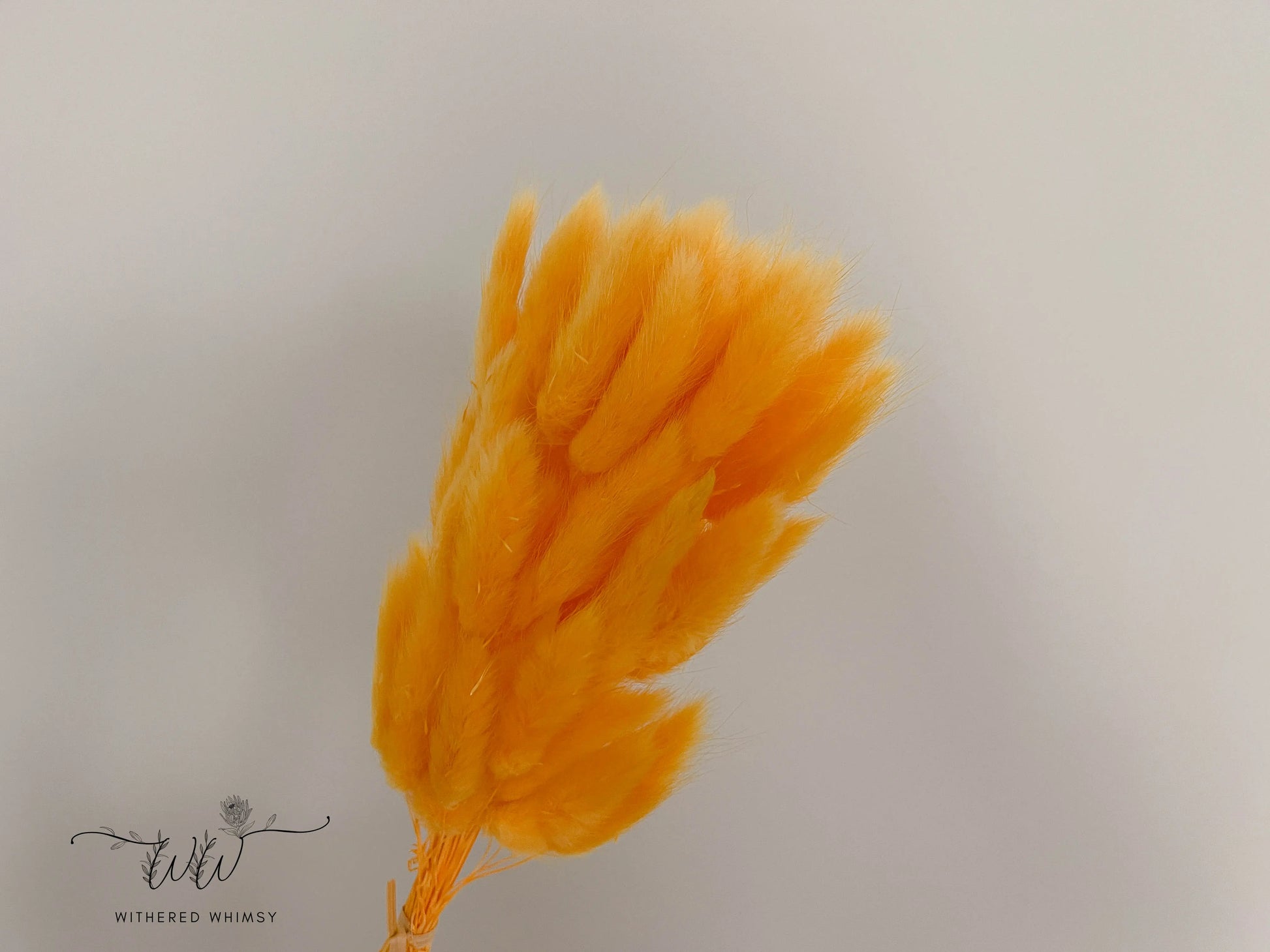 Bunny Tails - Pale Orange - Withered Whimsy Bunny Tails