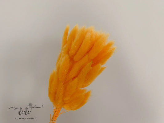 Bunny Tails - Pale Orange - Withered Whimsy Bunny Tails