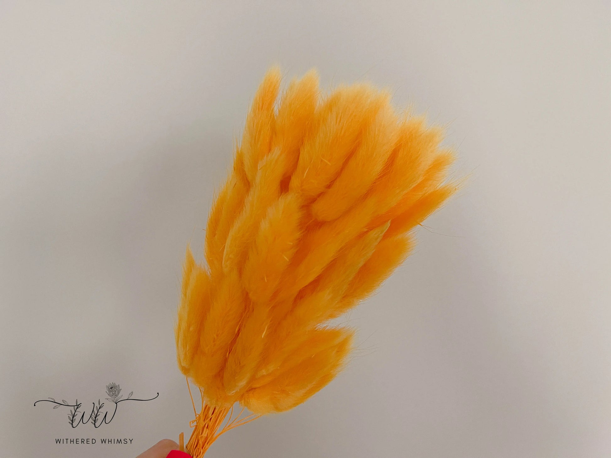 Bunny Tails - Pale Orange - Withered Whimsy Bunny Tails