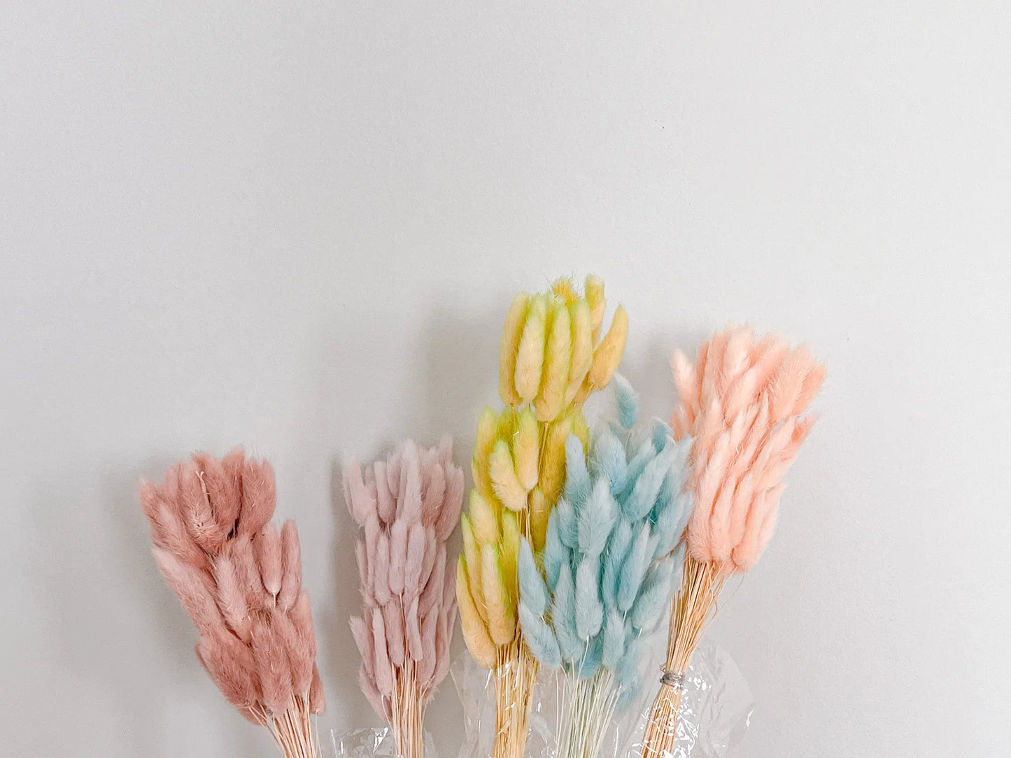 Bunny Tails - Pastels - Withered Whimsy Bunny Tails