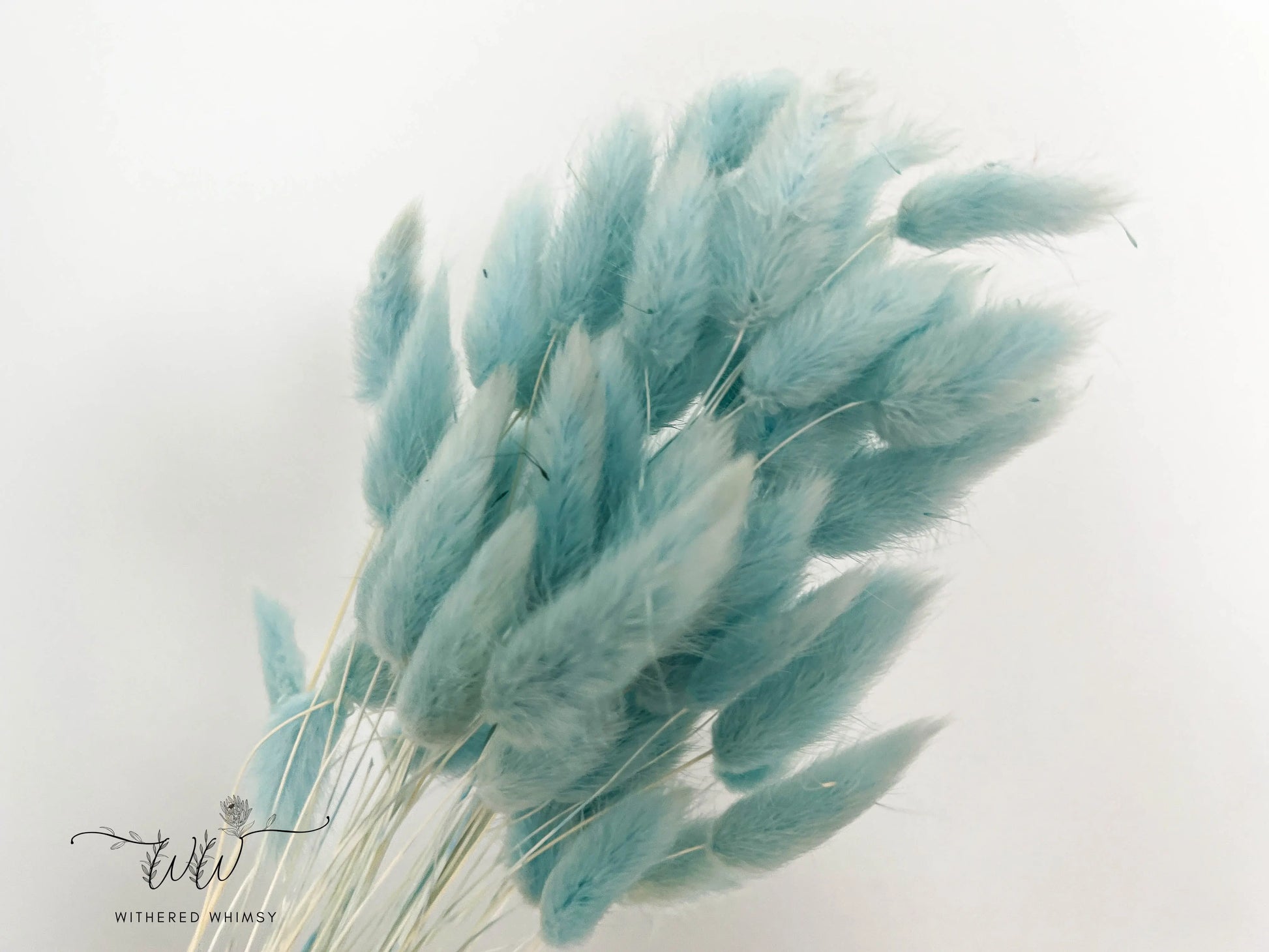 Bunny Tails - Pastels - Withered Whimsy Bunny Tails