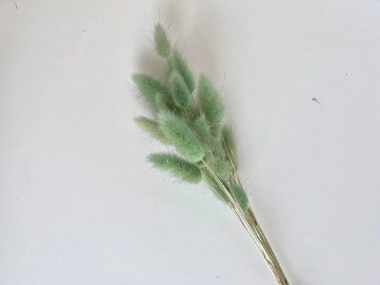 Bunny Tails - Sage Green - Withered Whimsy Bunny Tails