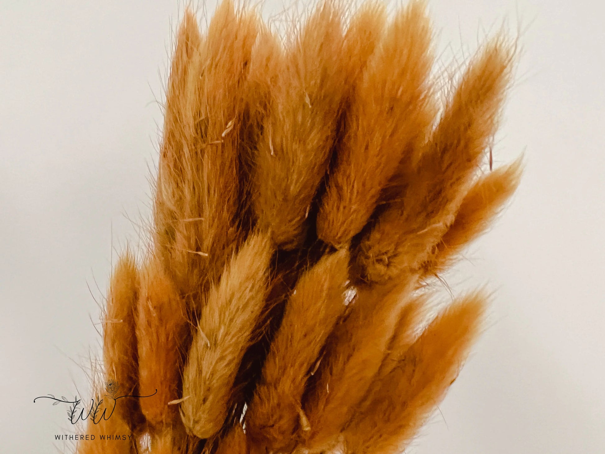 Bunny Tails - Warm Fall Colors - Withered Whimsy Bunny Tails