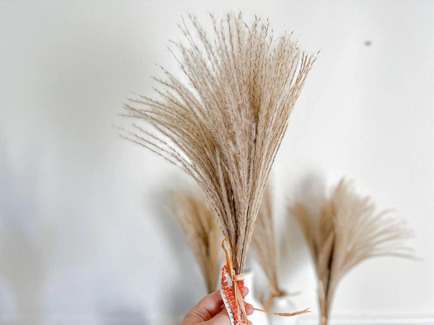 Dried Reed Grass Bundle, Fluffy Dried Flowers, Neutral Boho Home Decor, Modern Farmhouse, 10 stems, Natural