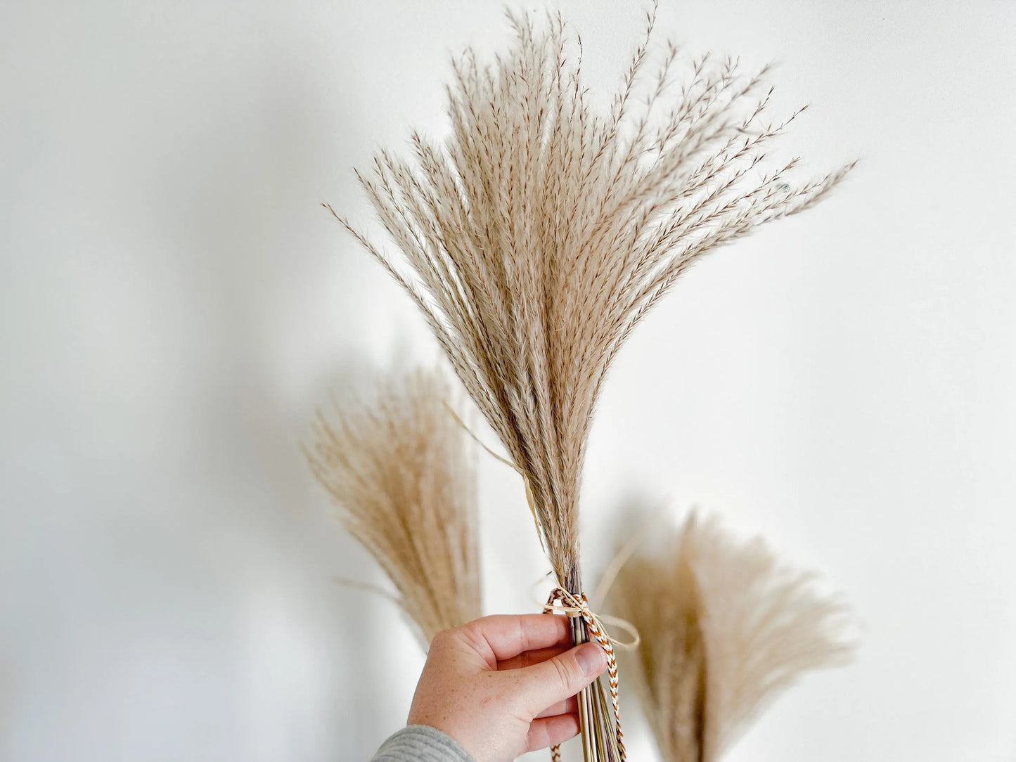 Dried Reed Grass Bundle, Fluffy Dried Flowers, Neutral Boho Home Decor, Modern Farmhouse, 10 stems, Natural